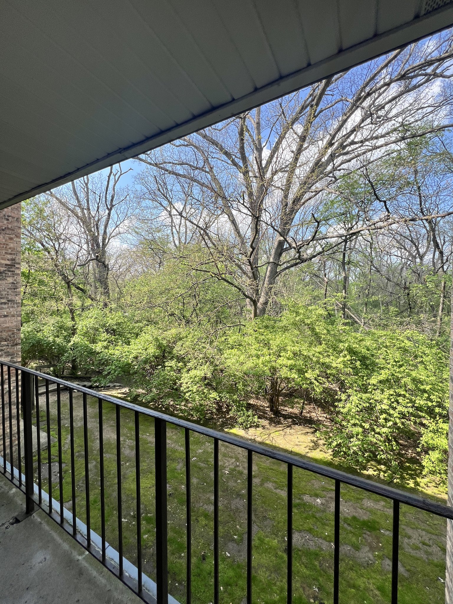 Lisle Apartment: 5760 Abbey Dr.