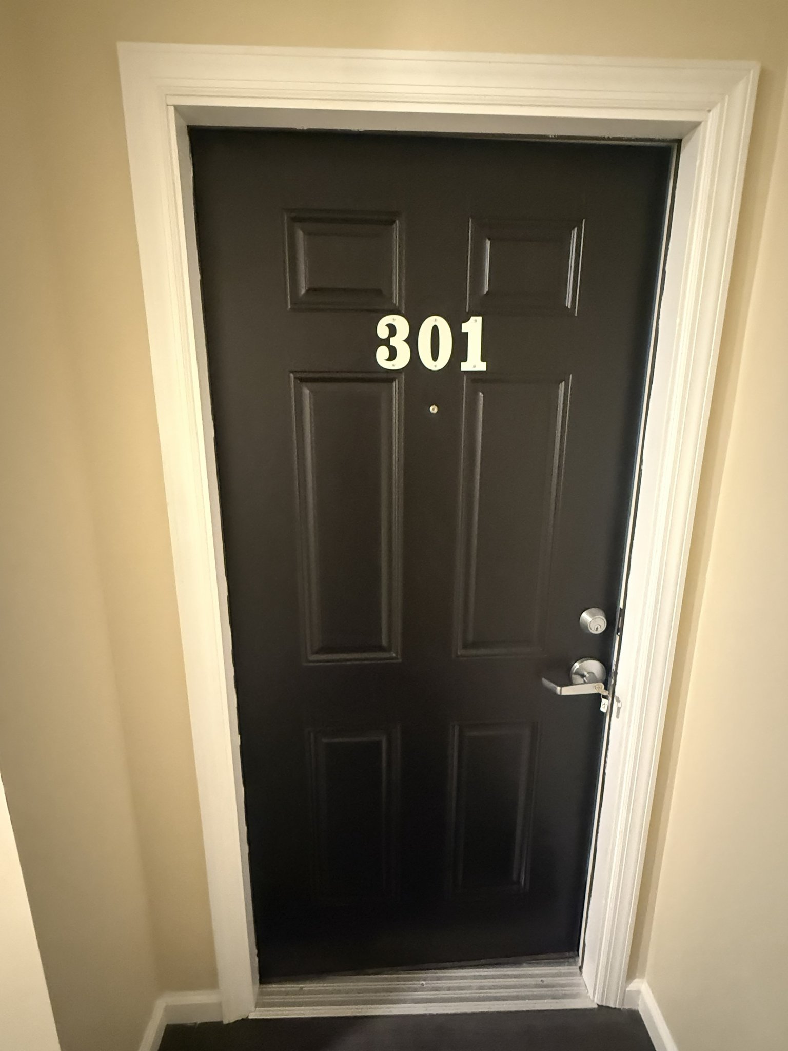 New Brunswick Apartment: 219 REDMOND STREET