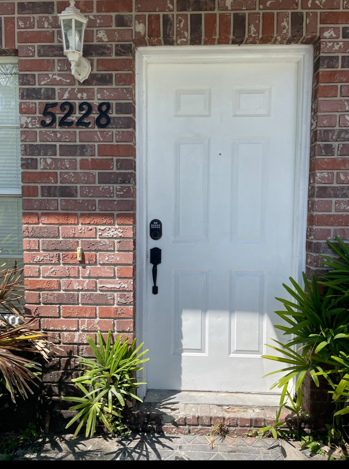 Seffner Multiplex: 5228 Bogdonoff Dr