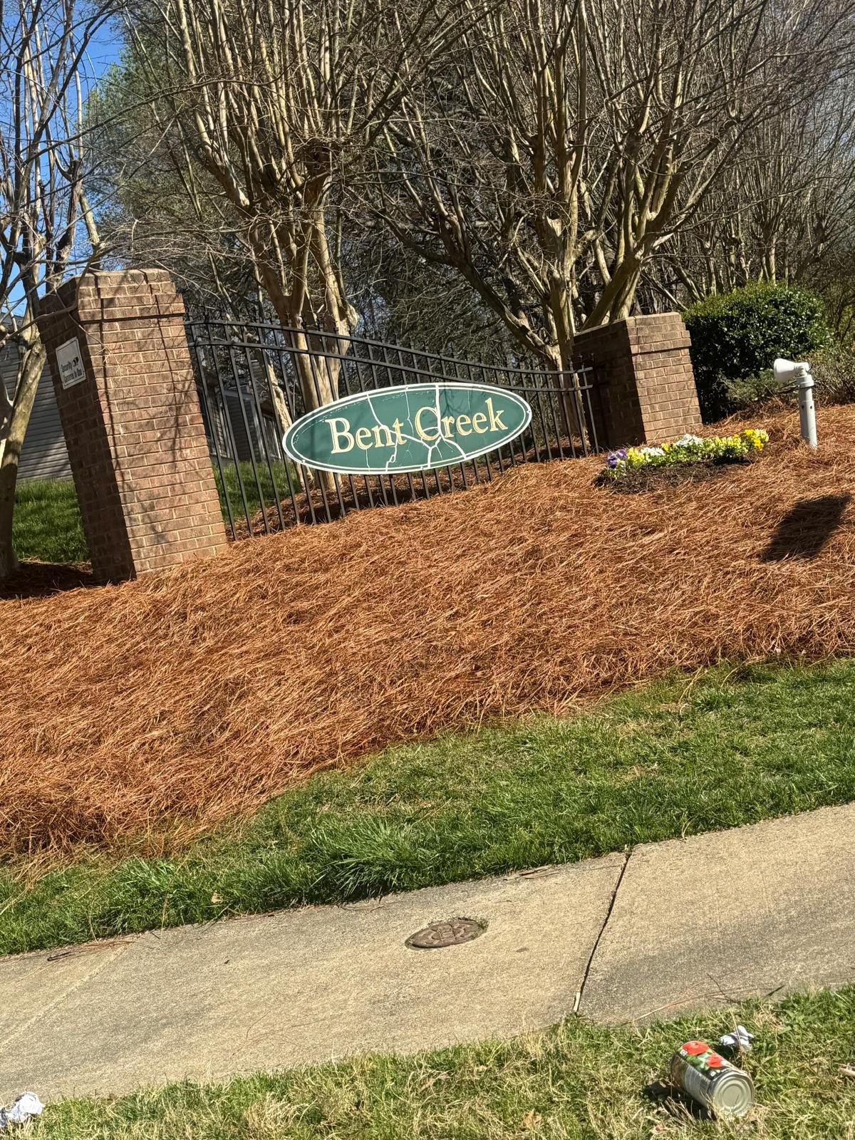 Charlotte Townhome: 8431 Rust Wood Place