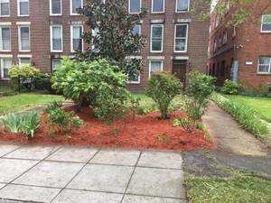 Wa Townhome: 1827 East Capitol Street, SE