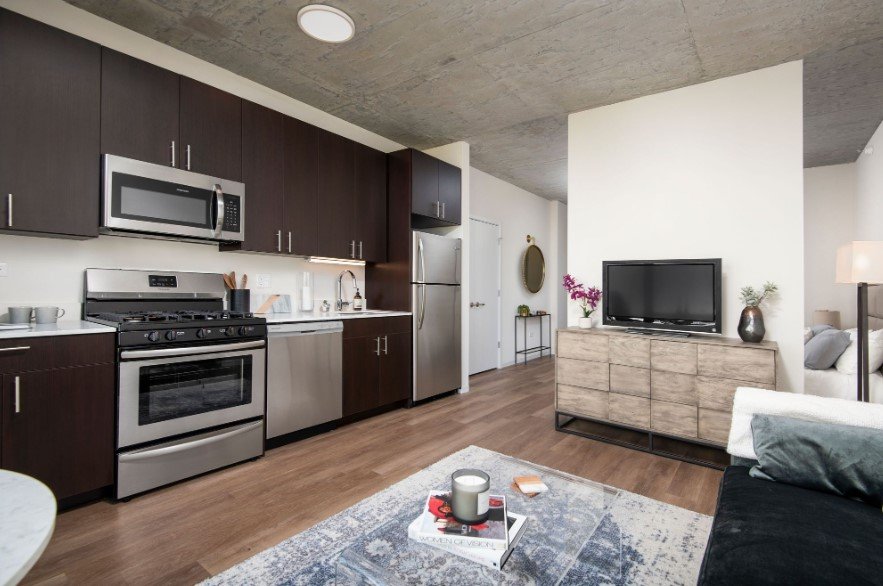Chicago Condo: 55 E 14th St