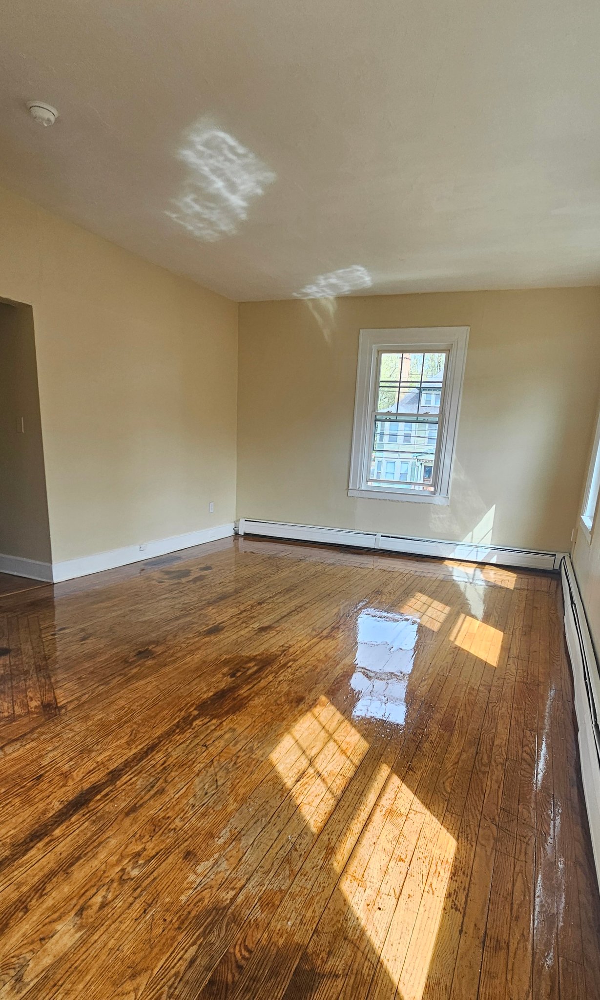 New Haven Apartment: 206 Sherman Ave