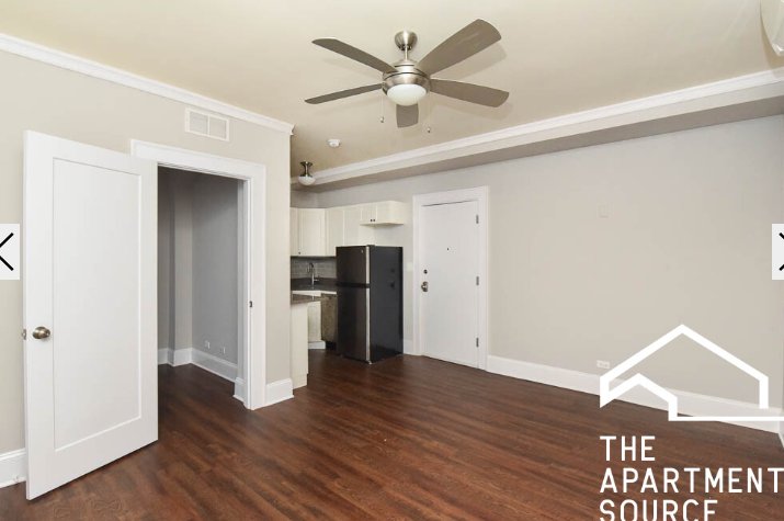 Chicago Condo: 817 West Lakeside Pl