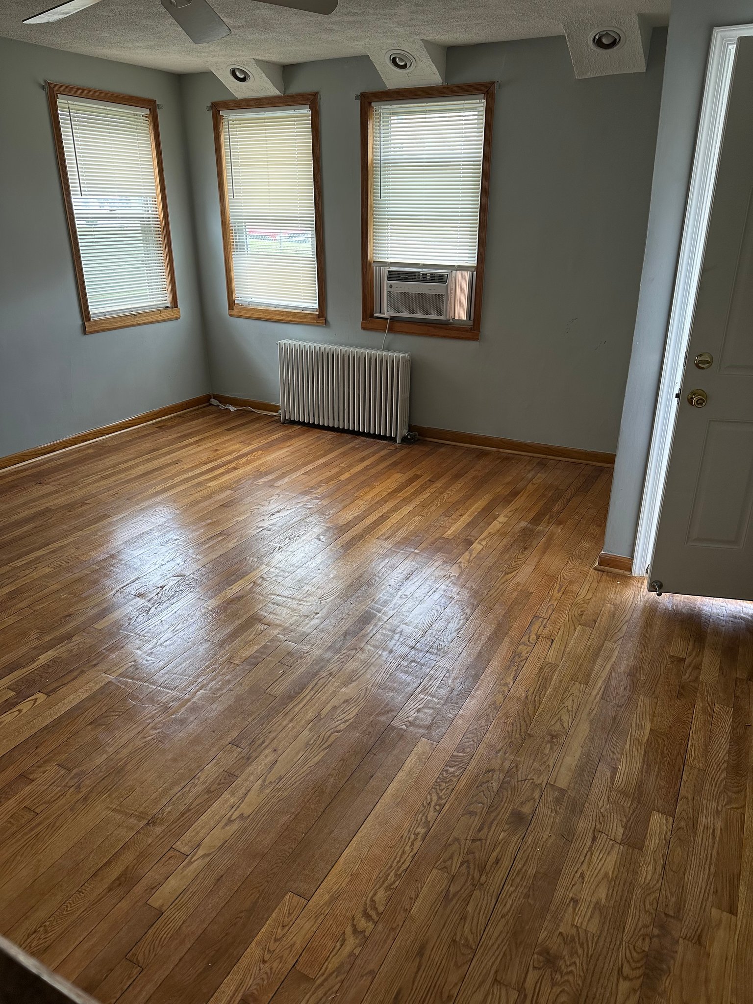 Baltimore Apartment: 1637 E Cold Spring Ln