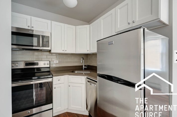 Chicago Condo: 817 West Lakeside Pl
