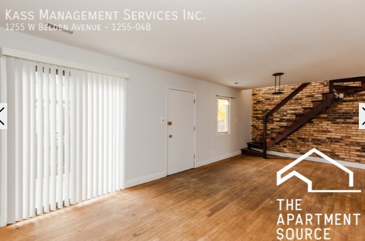 Chicago Condo: 1255 West Belden