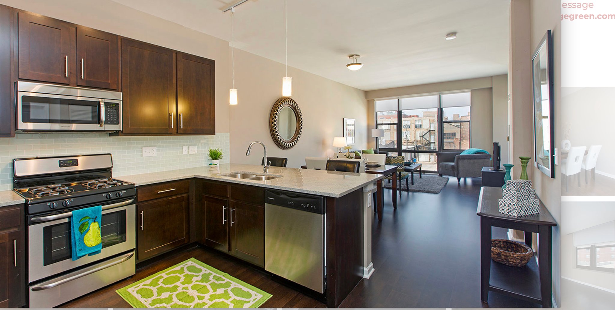 Chicago Condo: 2313 South Michigan