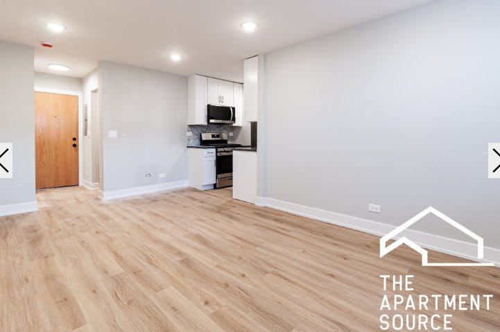 Chicago Condo: 530 West Aldine Ave