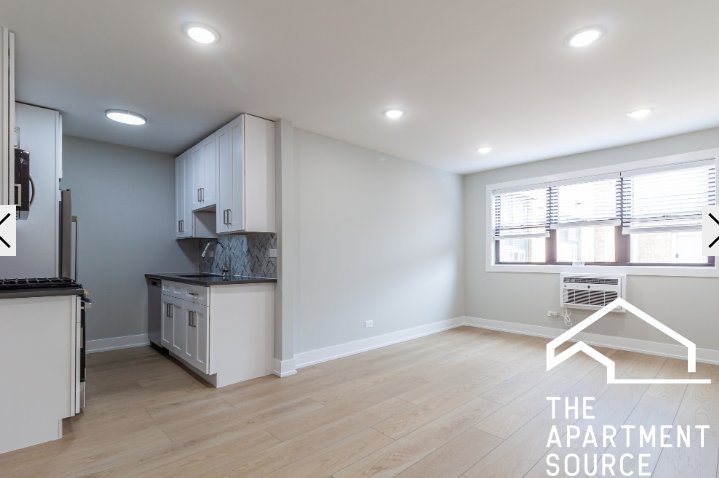 Chicago Condo: 530 West Aldine Ave