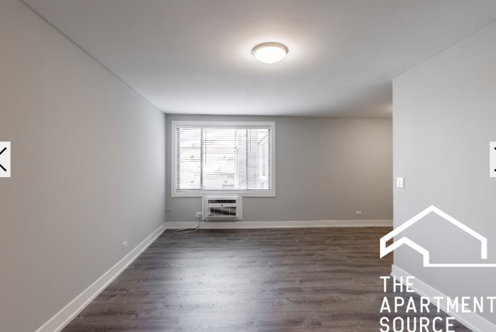 Chicago Condo: 530 West Surf St