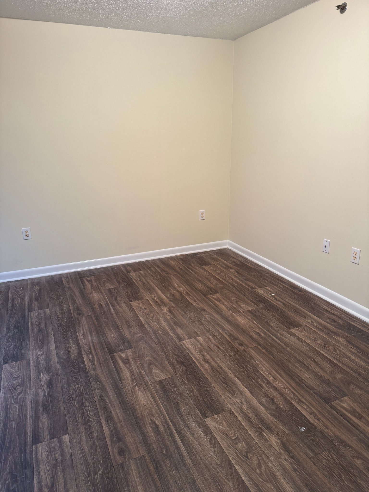 Raleigh Condo: 1431 Collegiate Cir