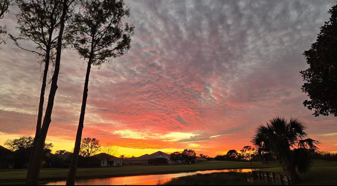Deer Island House: 17708 Sawgrass run