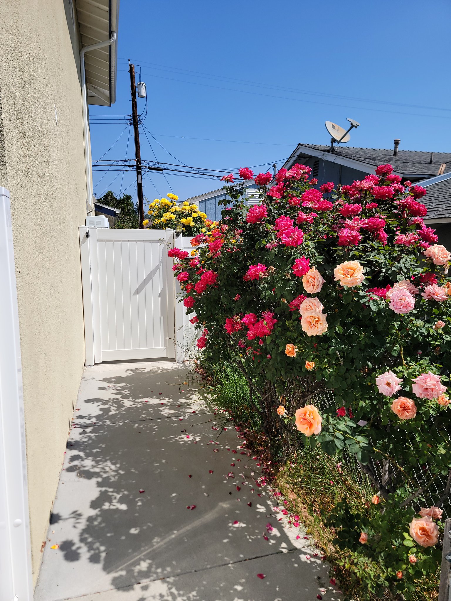 CANOGA PARK House: 91304 canoga park