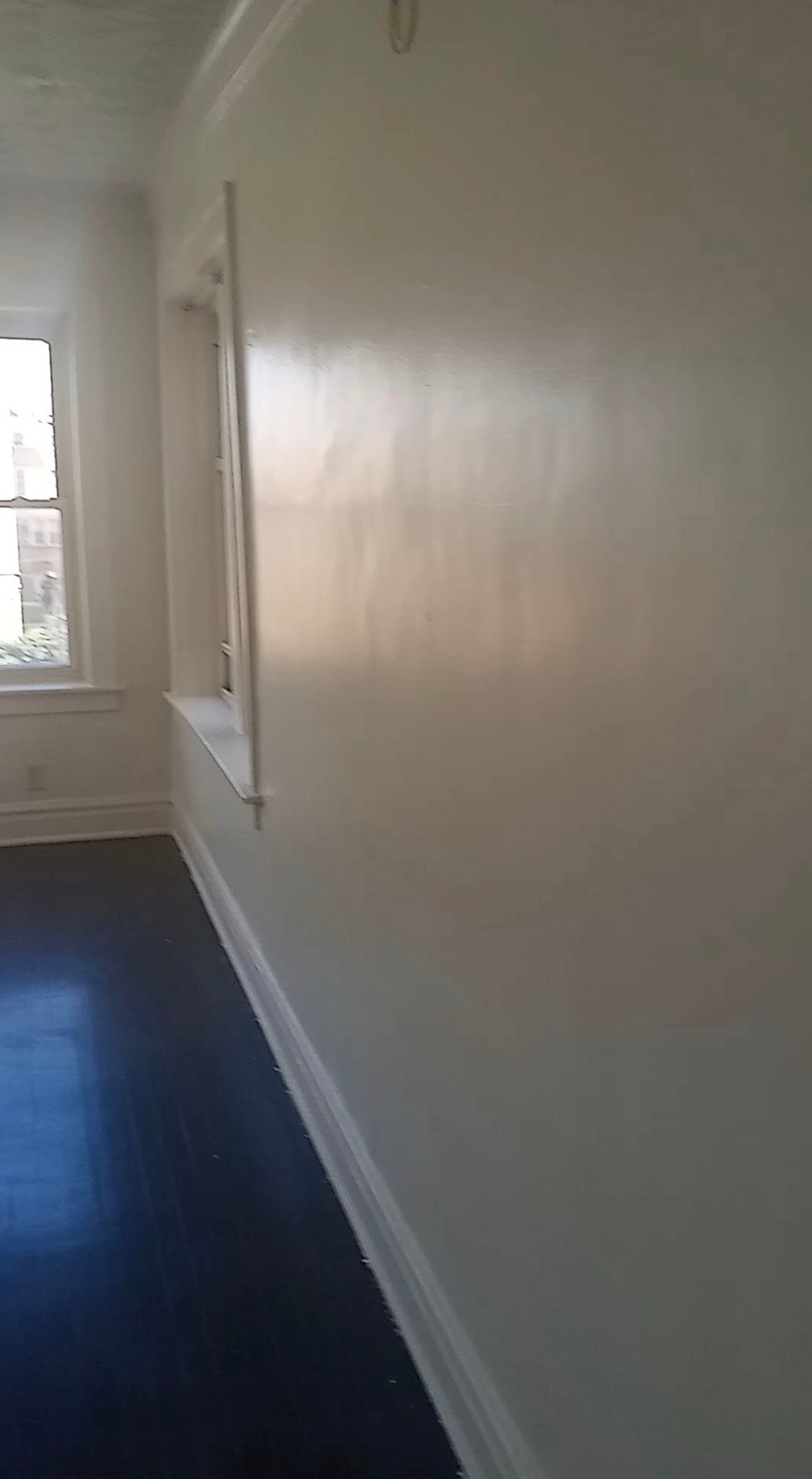 Chicago Apartment: 7047 S Michigan Ave
