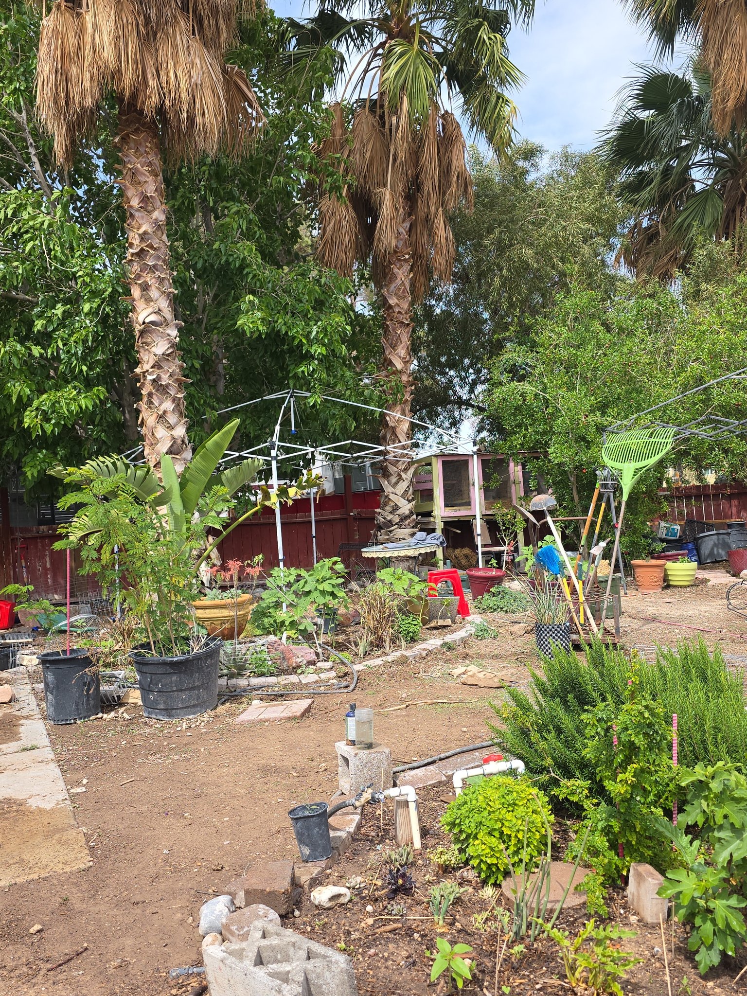 NORTH LAS VEGAS House: 4009 San Diego St
