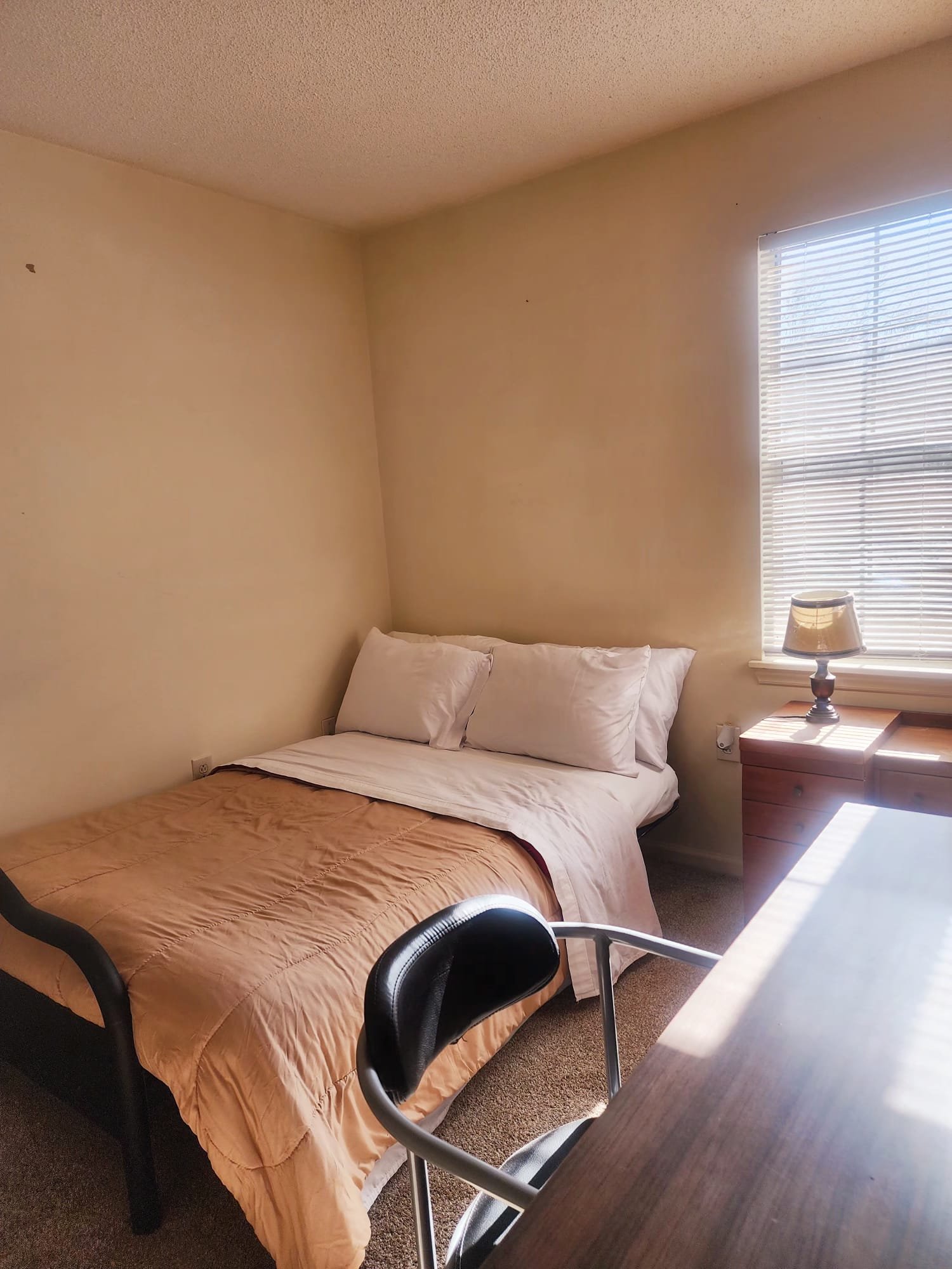 Charlotte Townhome: 5315 Amity Springs Dr