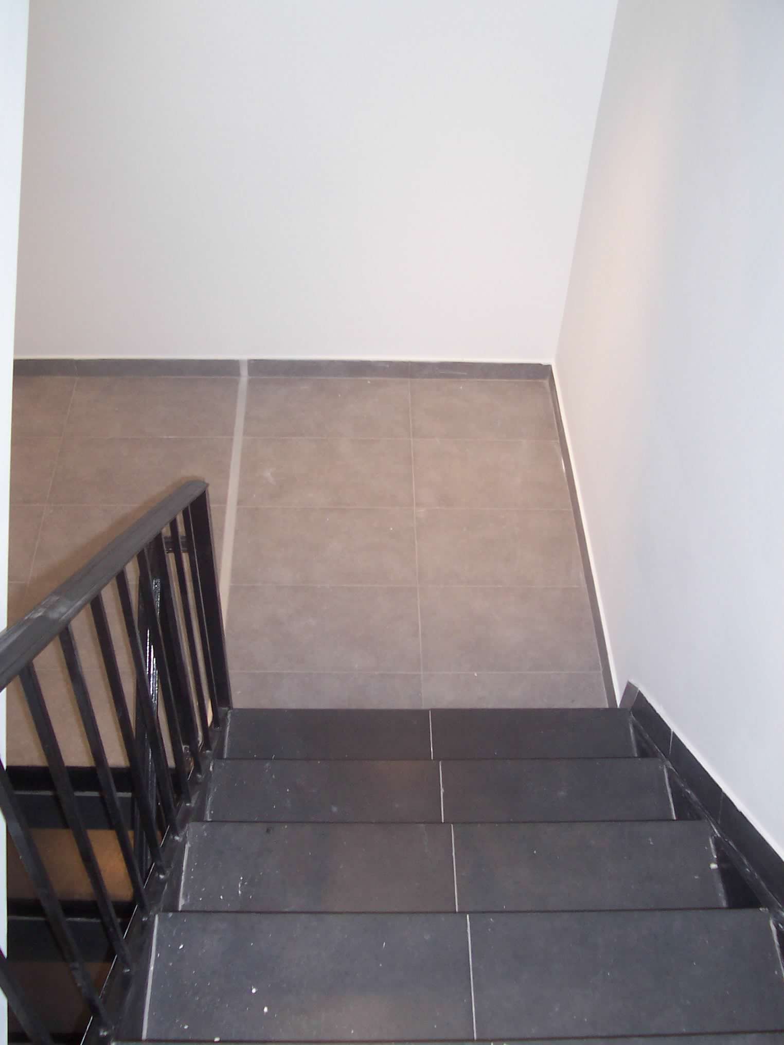 brooklyn Condo: 42 scholes st
