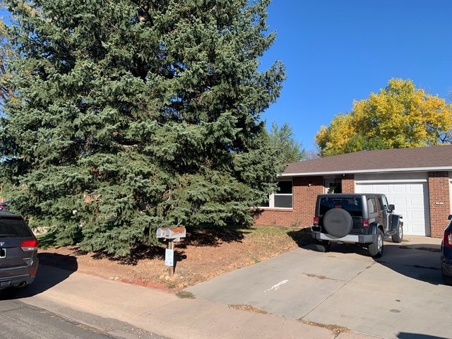 Fort Collins Other: 1604 Palm Dr