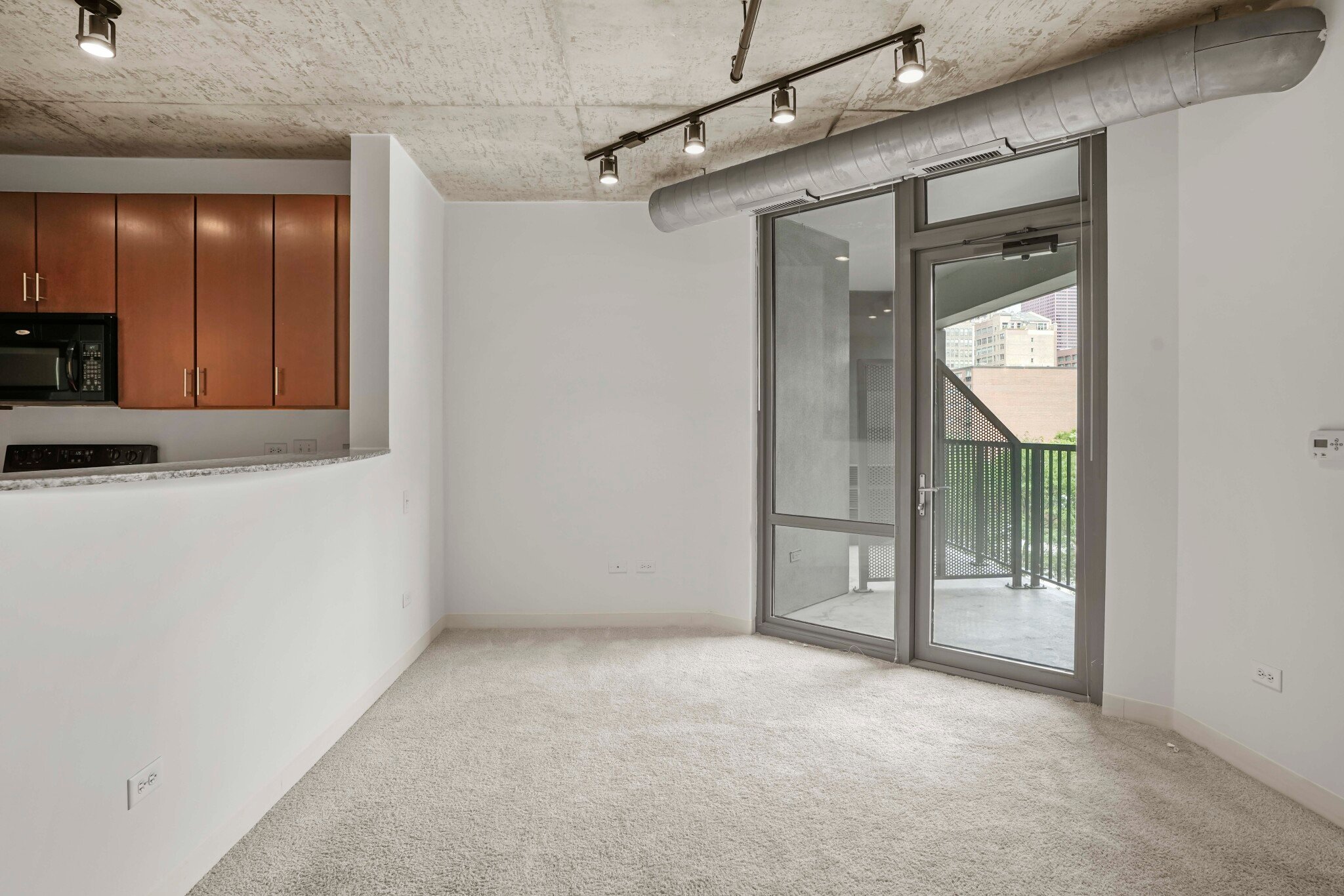 Chicago Condo: 928 South Clark