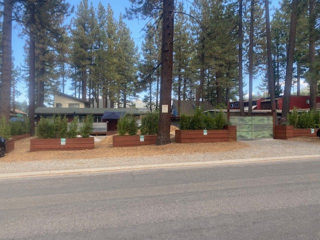 South Lake Tahoe Multiplex: 1037 Echo Road #4