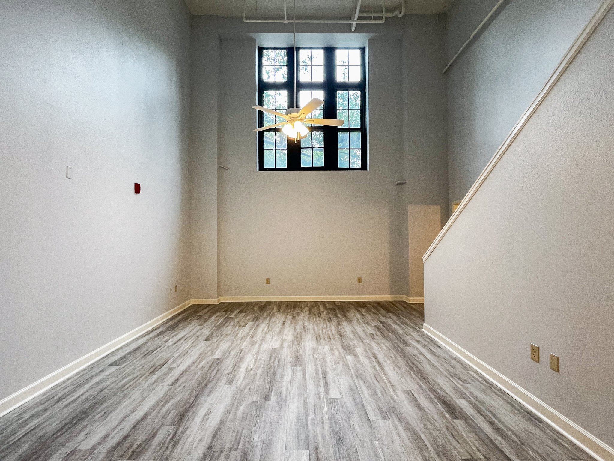 Little Rock Apartment: 1400 Cumberland Street
