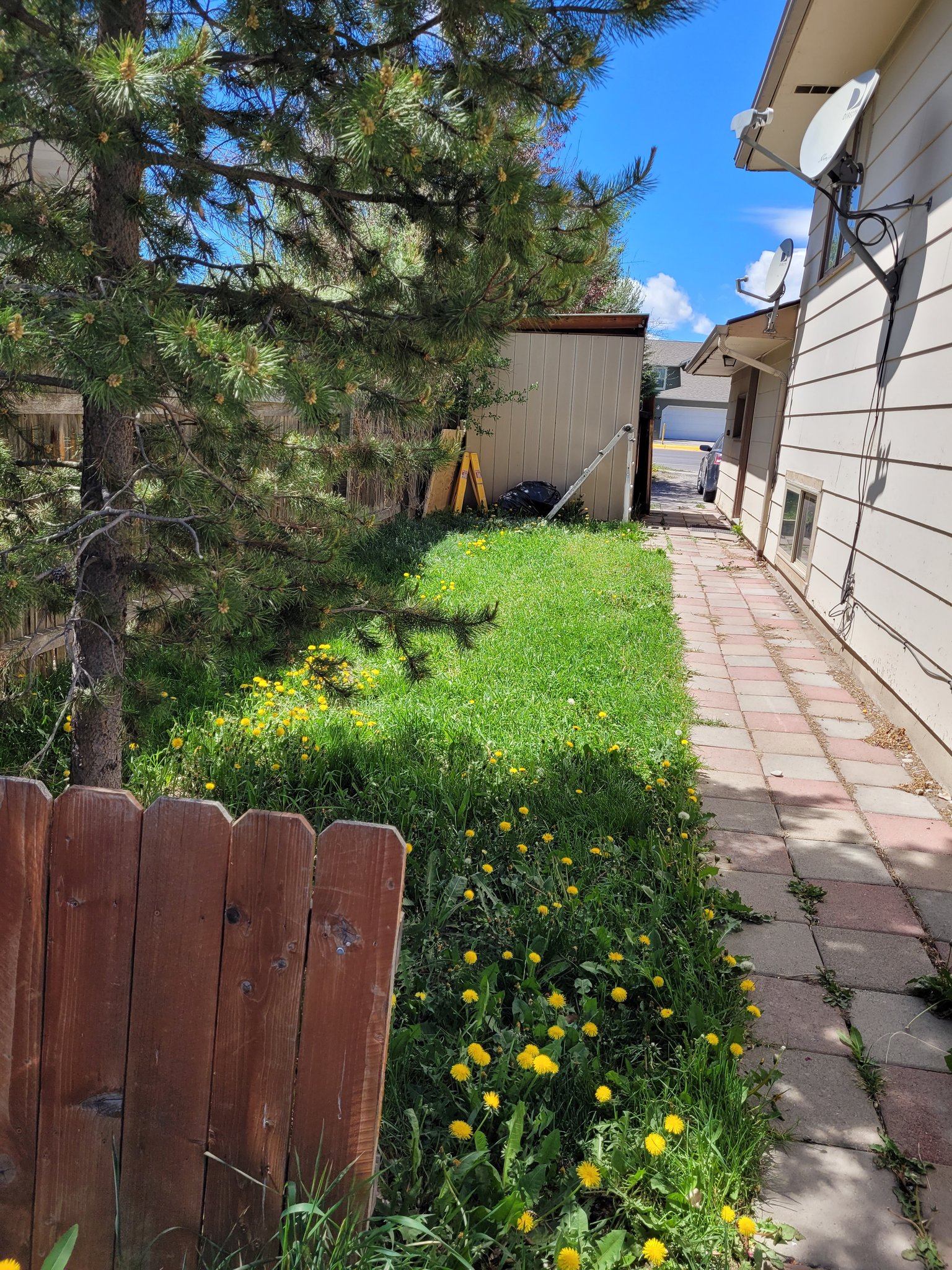 Bozeman Apartment: 520 N 19th Ave Lower