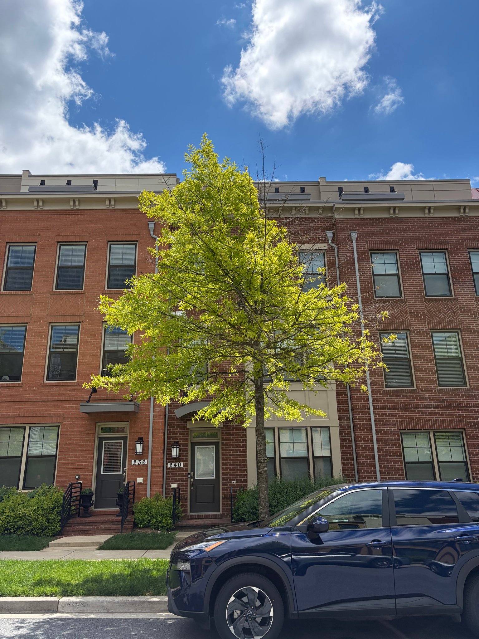 Gaithersburg Townhome: 240 Kepler Dr