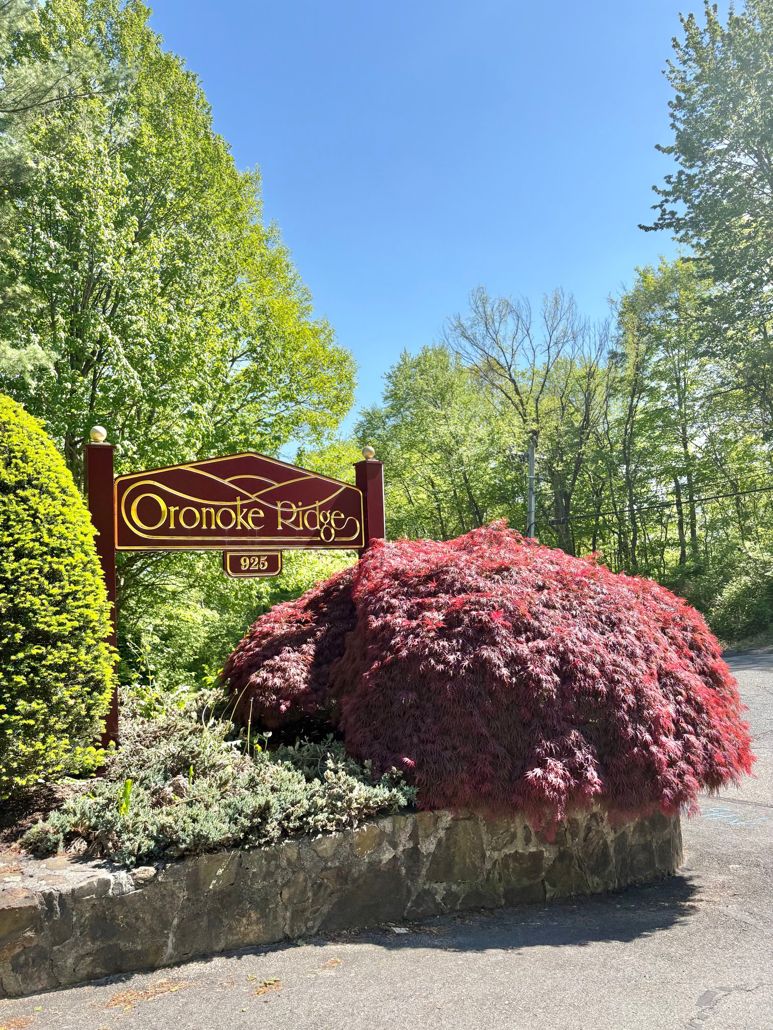 Waterbury Condo: 925 Oronoke Rd