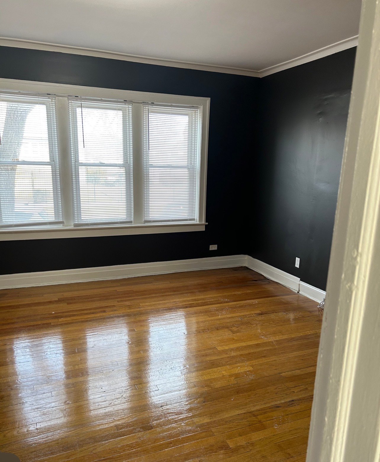 Chicago Apartment: 2503 E 84th St
