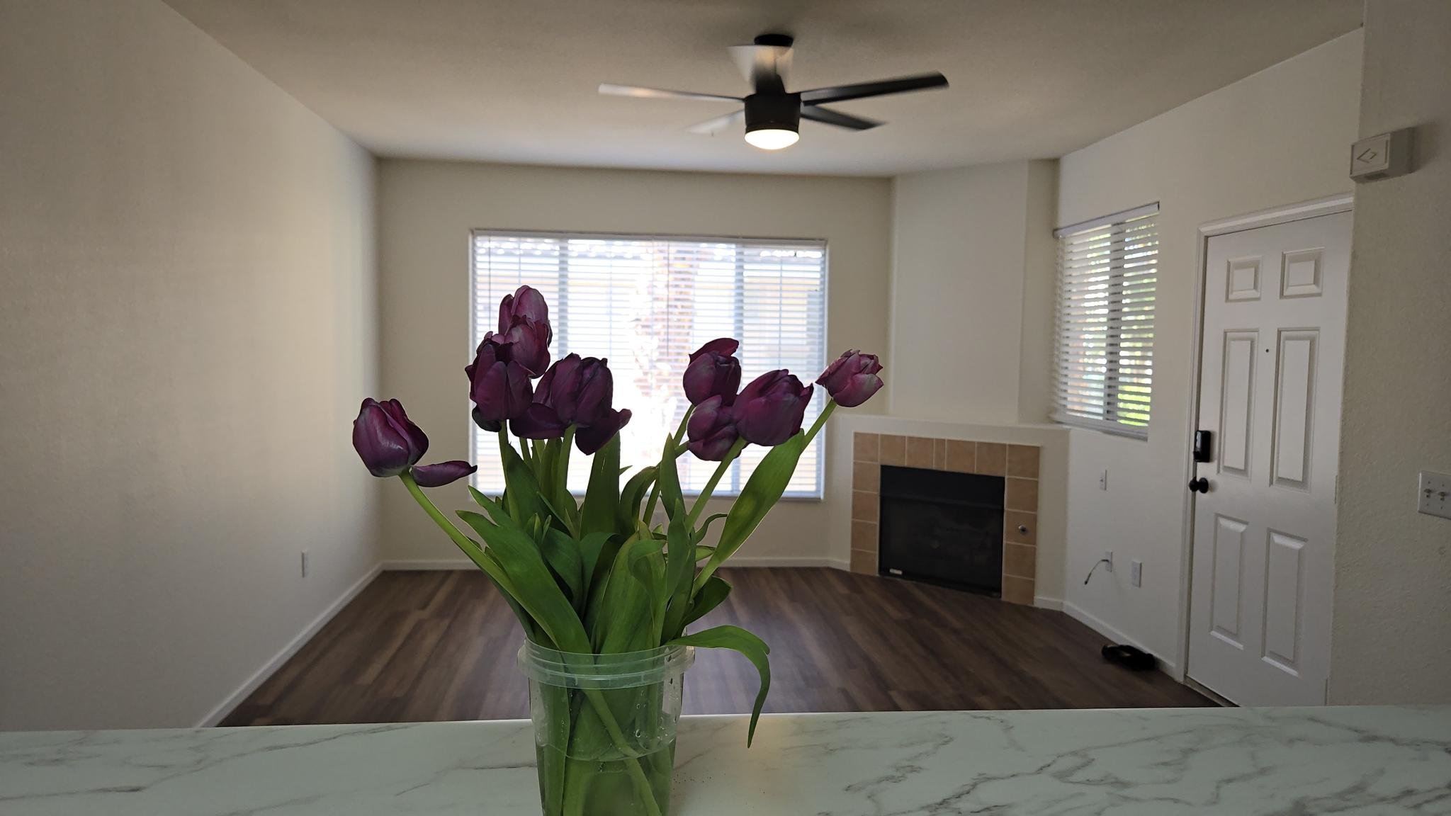 Las Vegas Condo: 7123 South Durango Dr.