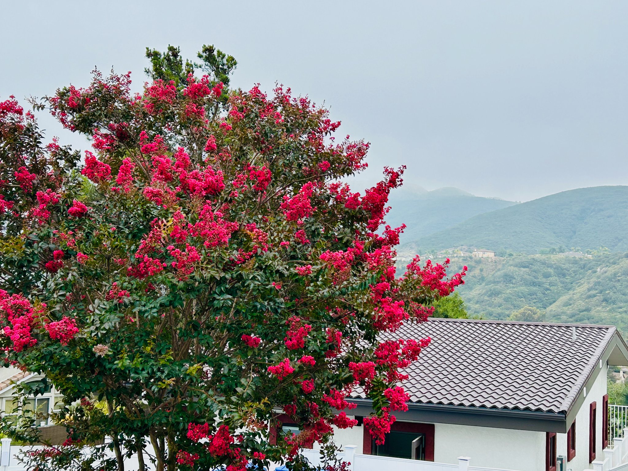 San Marcos House: 870 Windridge Circle