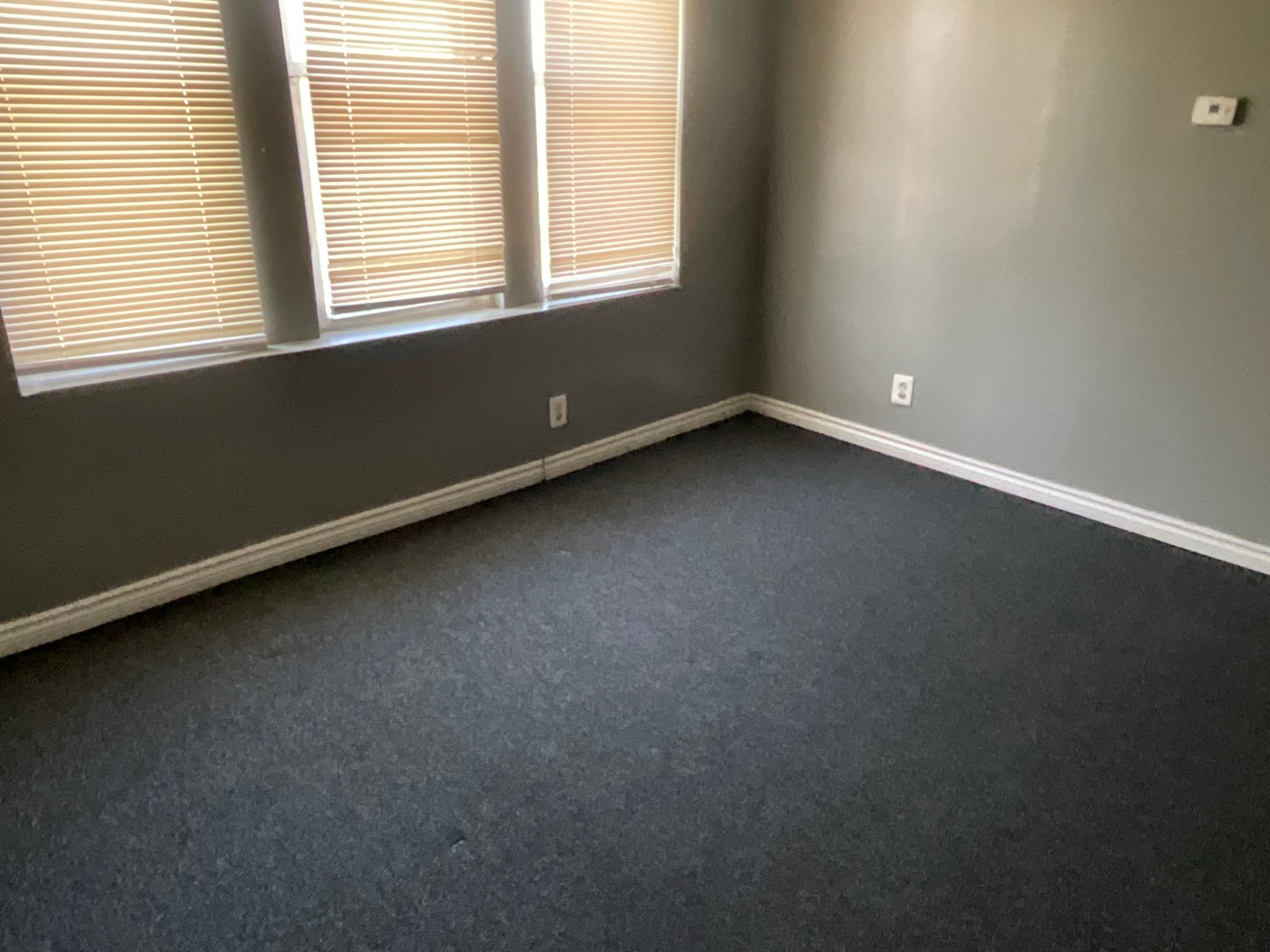 Chicago Apartment: 3825 west 14th Street