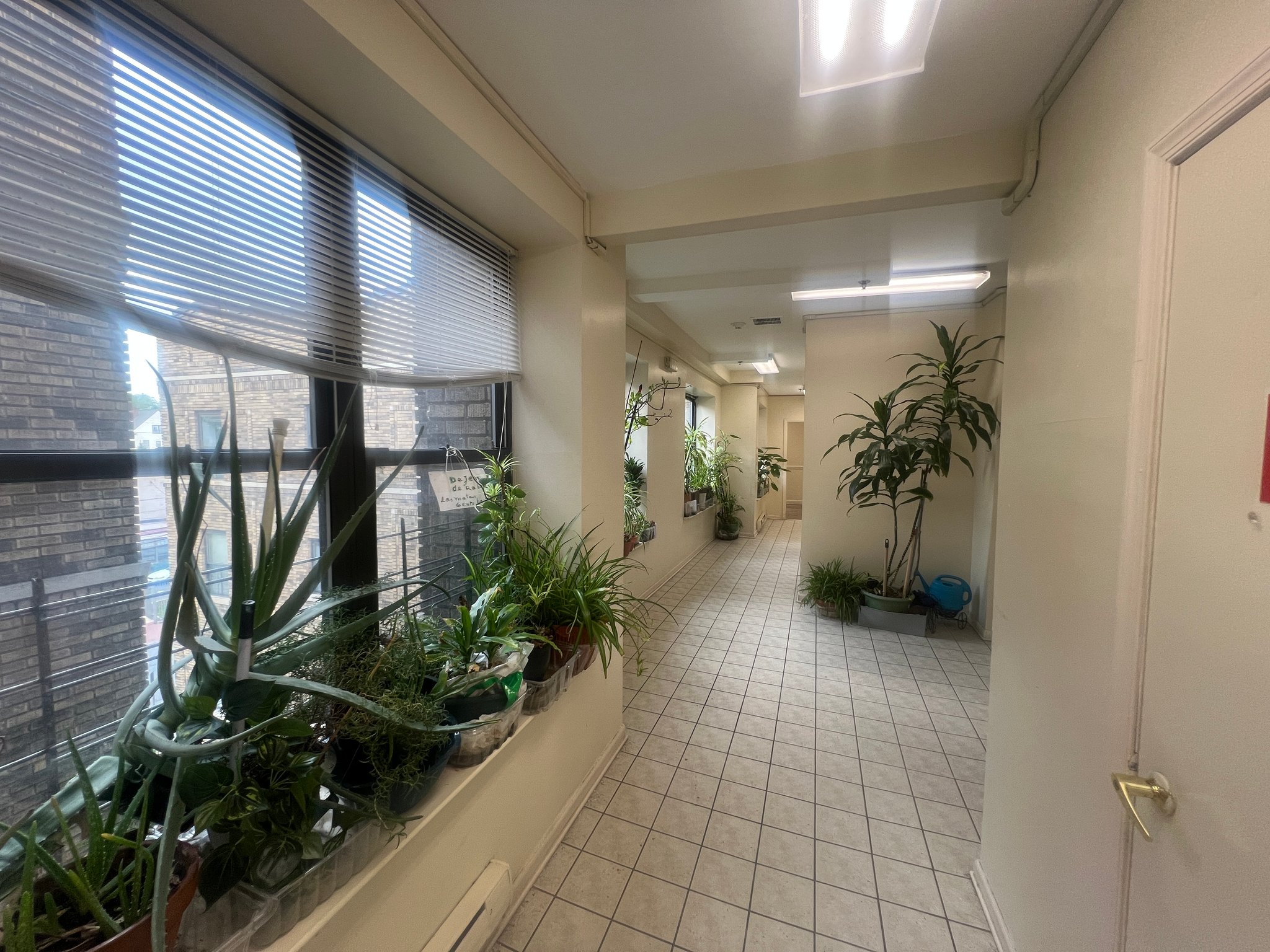 Newark Apartment: 281 MT Prospect Ave