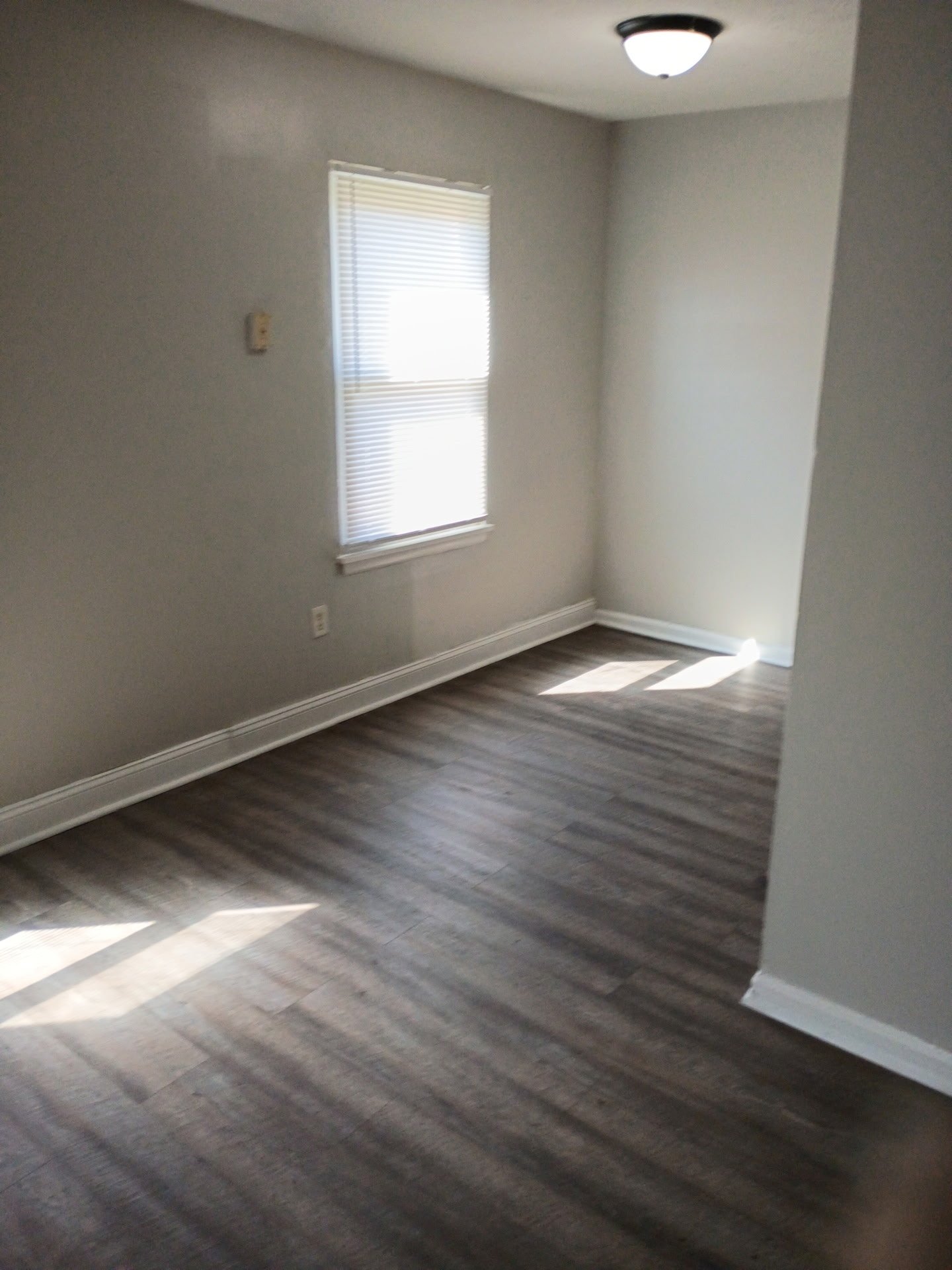 Louisville Apartment: 4409 Norene Lane