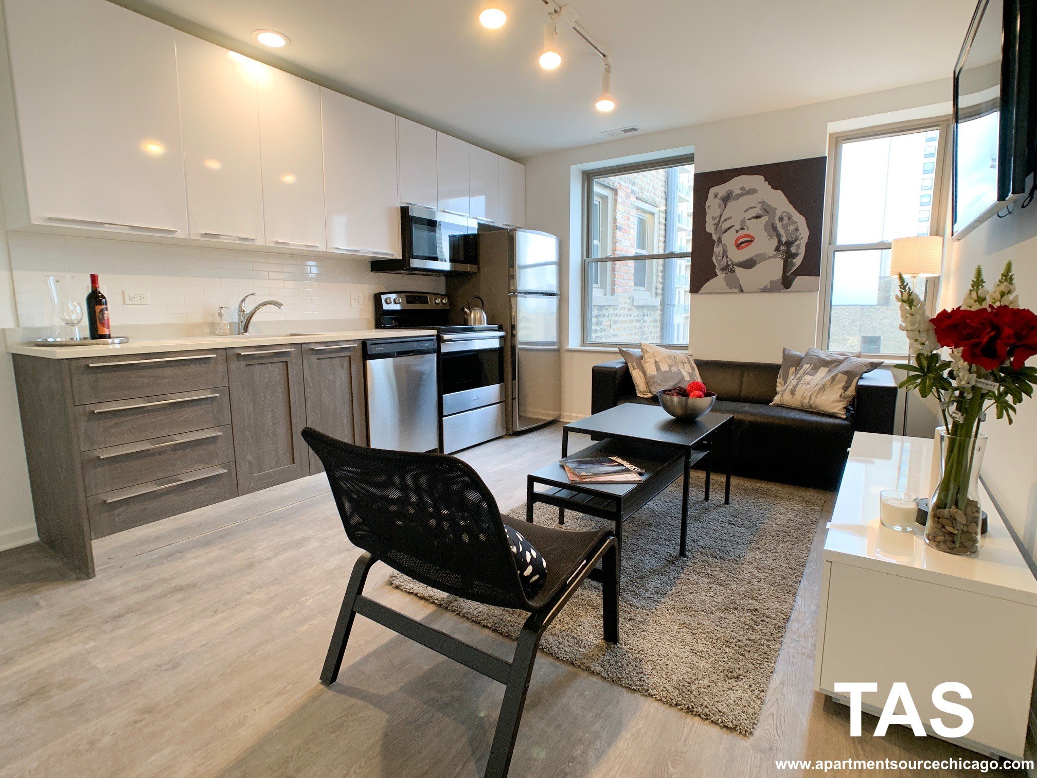 Chicago Apartment: 940 West Winona St