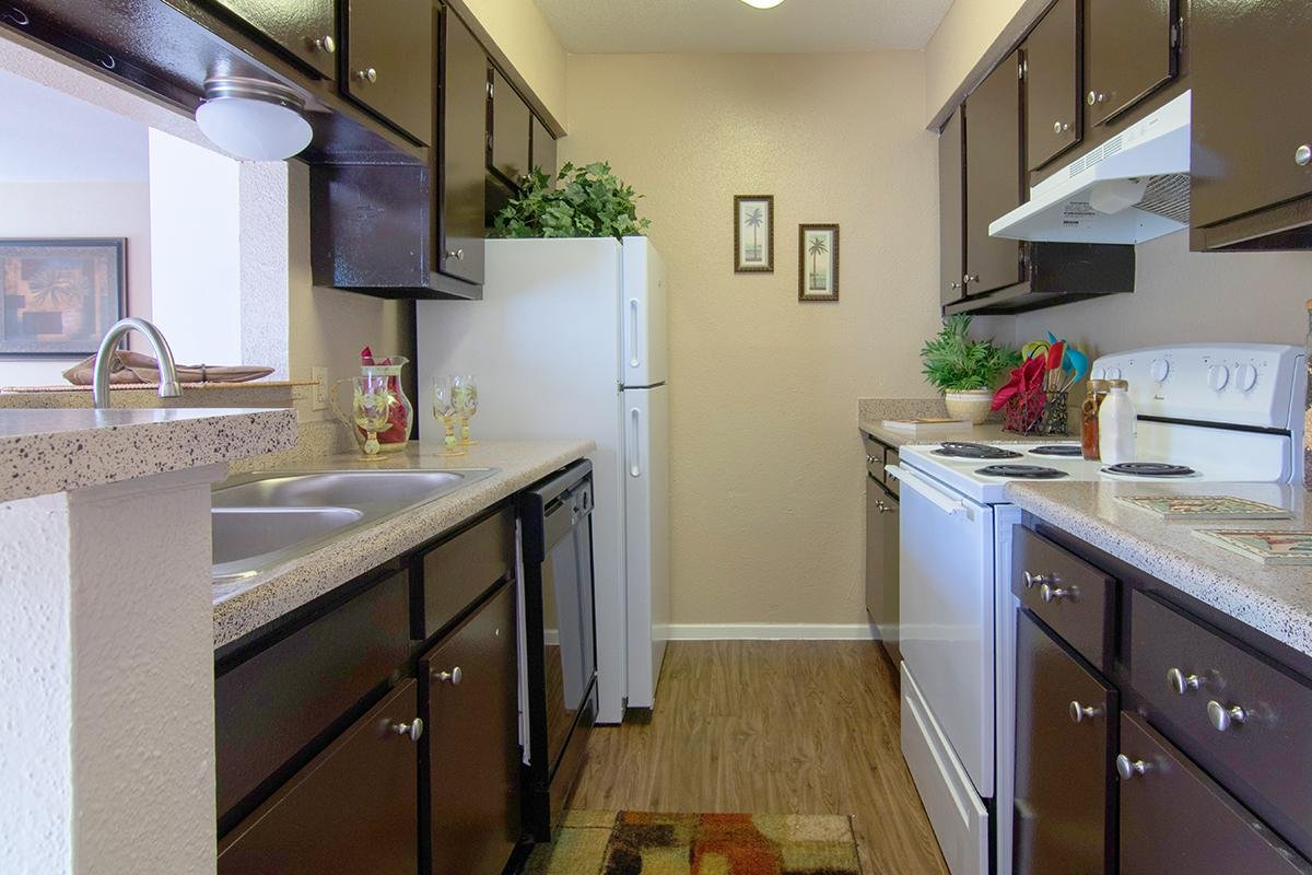Houston Apartment: 4800 Lamonte Ln