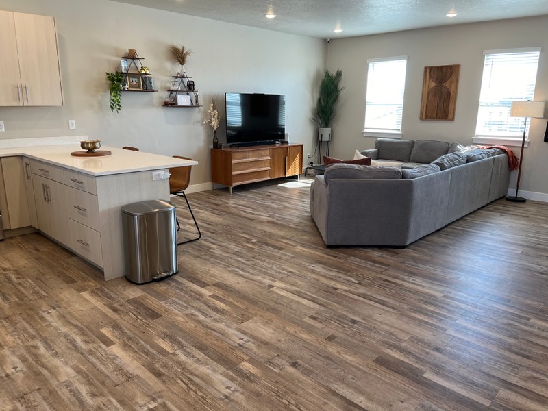 Lehi Townhome: 484 W 380 N