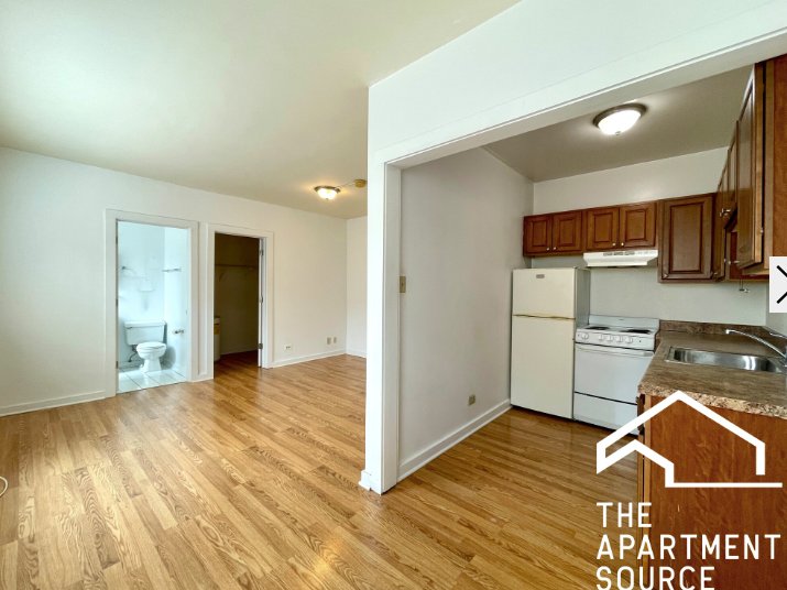 Chicago Condo: 1850 N Humboldt Blvd