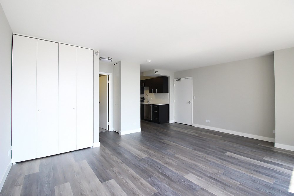Chicago Condo: 897 N State St