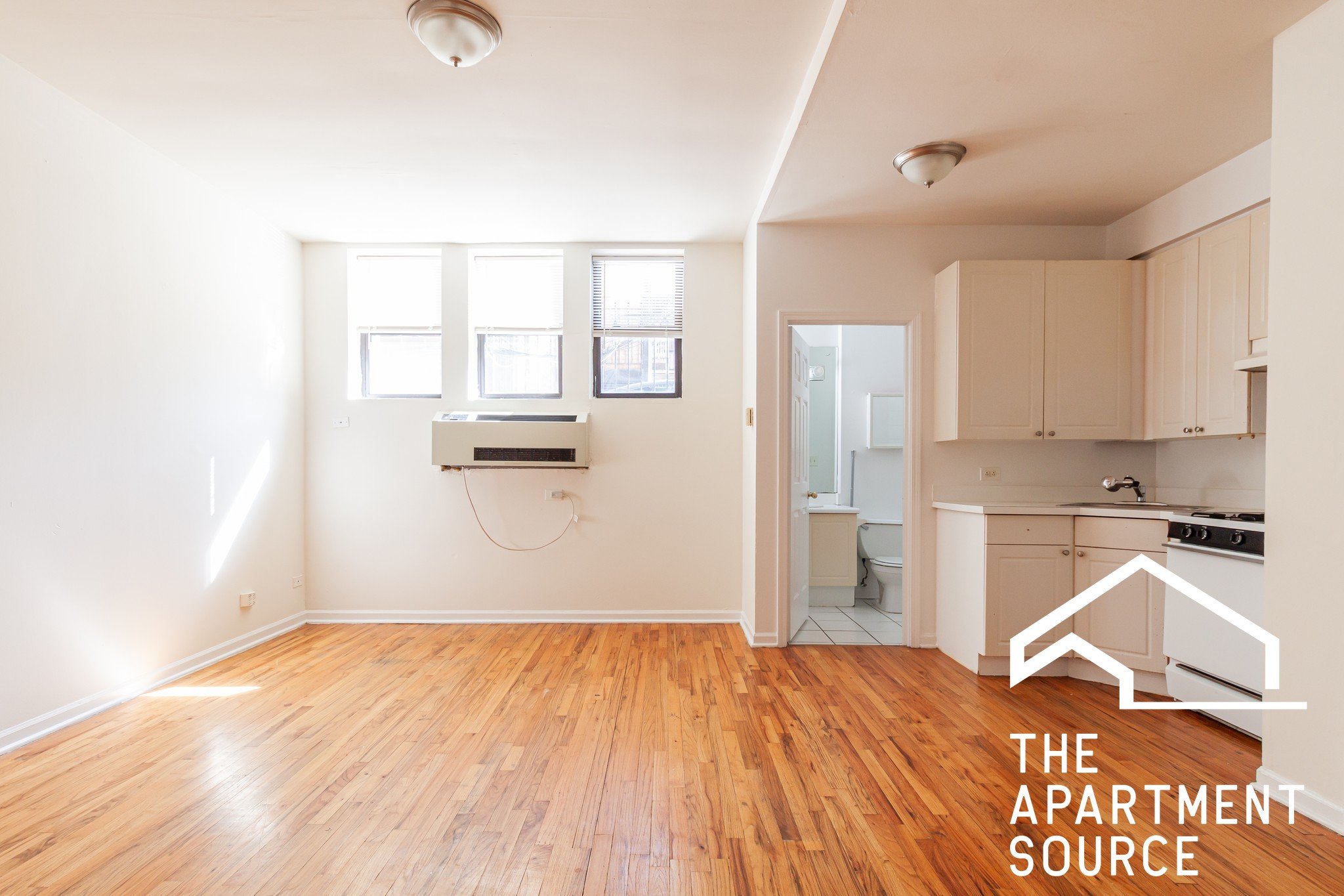 Chicago Apartment: 917 West Dakin St.