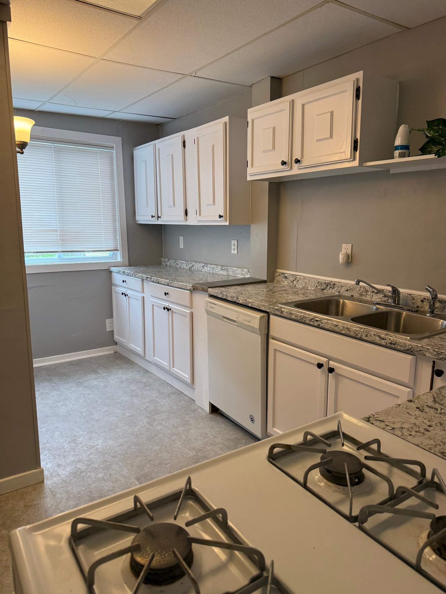 Binghamton Apartment: 310 Robinson Street