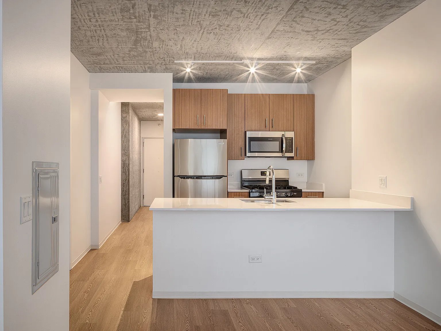 Chicago Condo: 1410 S Wabash Ave