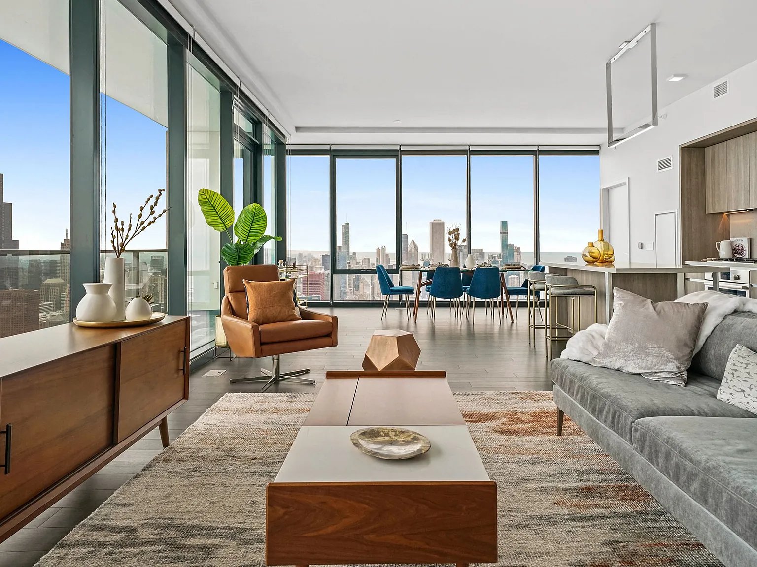 Chicago Condo: 1208 South Indiana Avenue