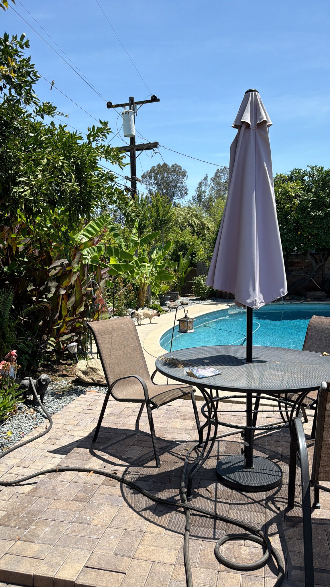 Fresno Other: 270 W San Bruno Ave
