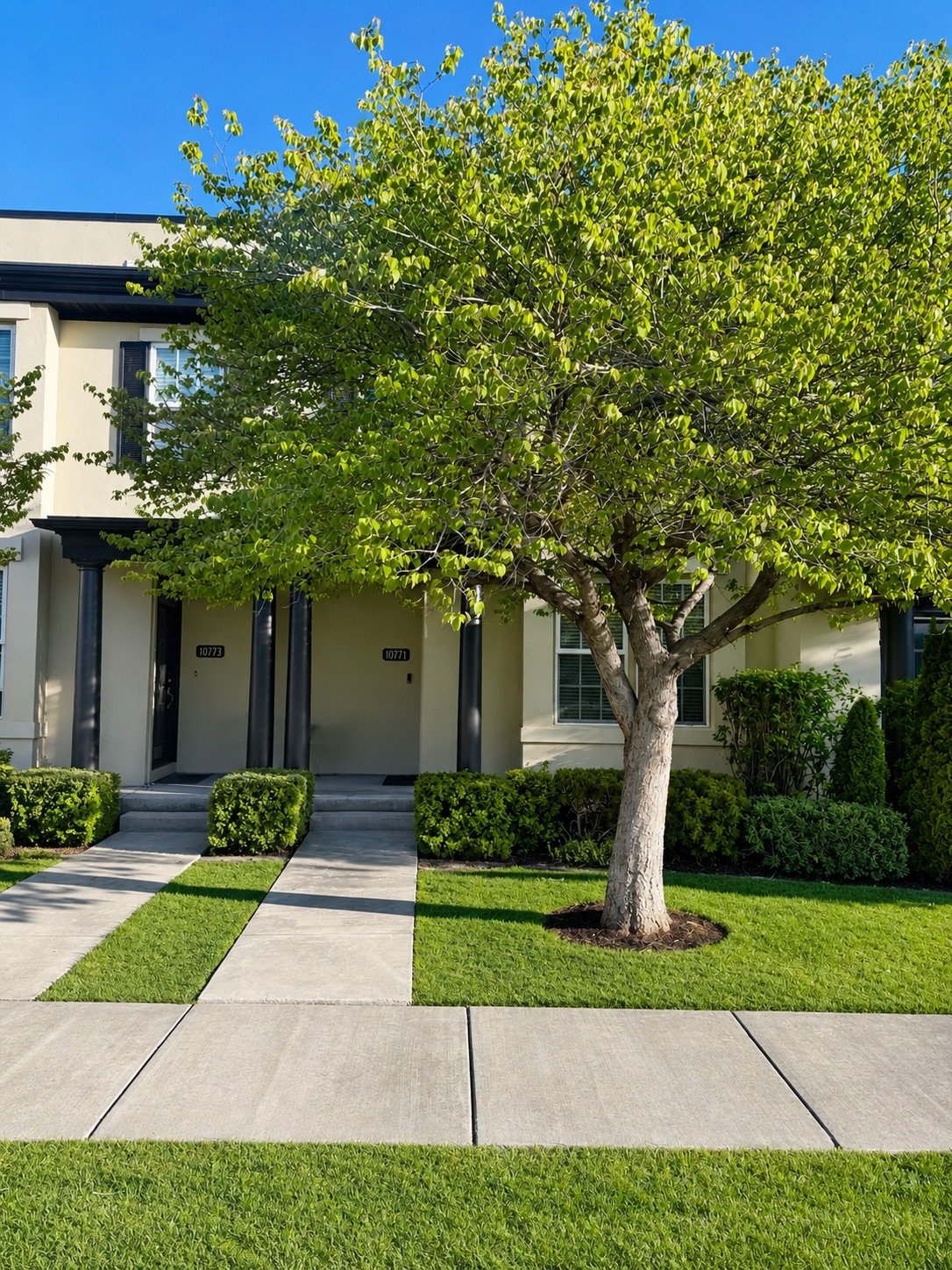 South Jordan Other: 10771 S Ozarks Dr