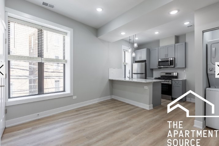 Chicago Condo: 432 West Belden Ave