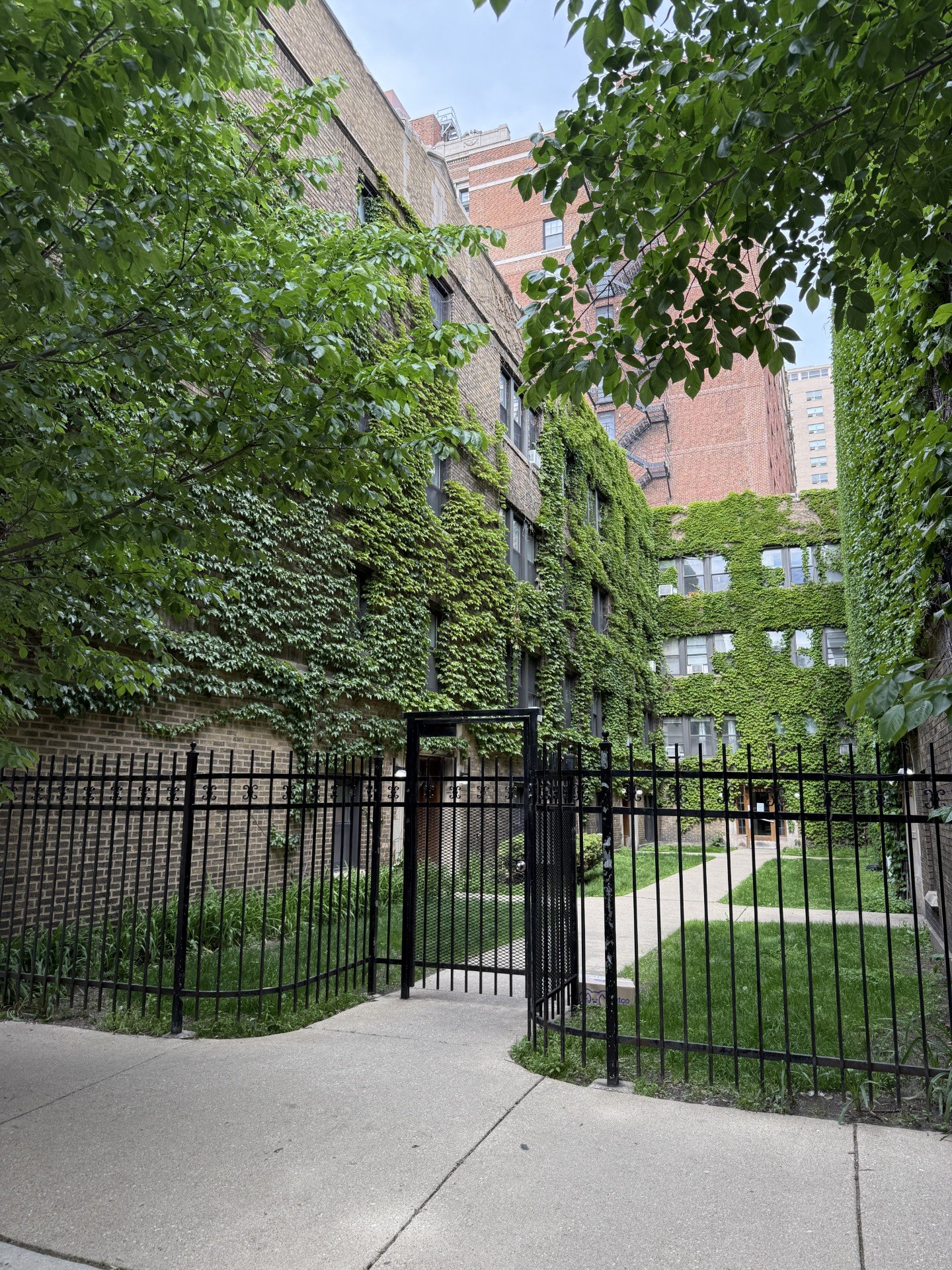 chicago Multiplex: 3161 N Hudson Ave