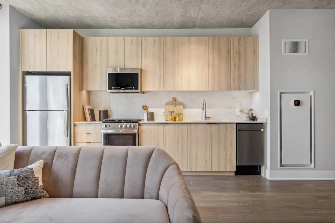 Chicago Condo: 1046 w van buren