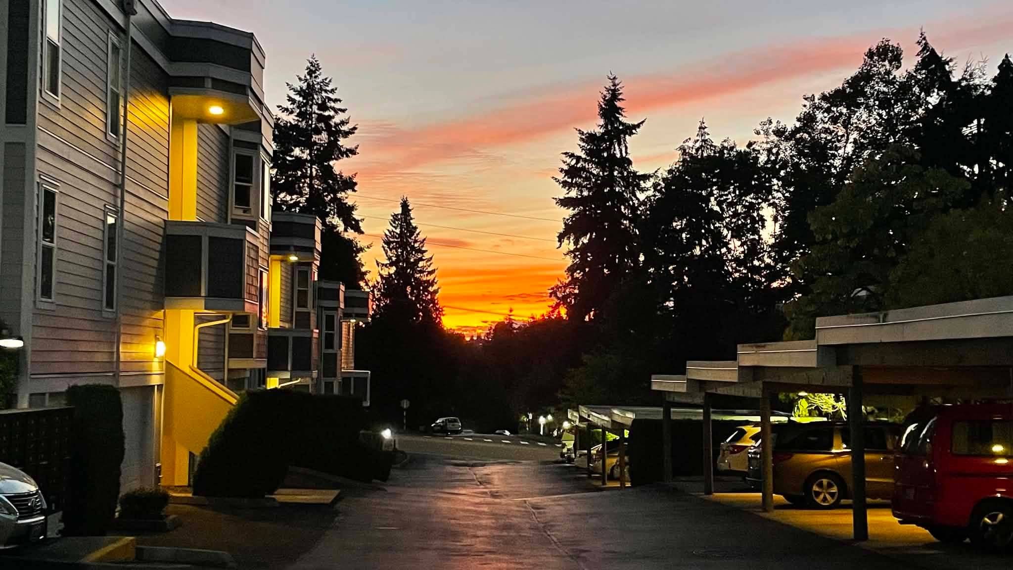 Bellevue Condo: 4208 Factoria Blvd SE